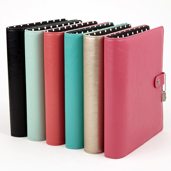 carpe diem binders
