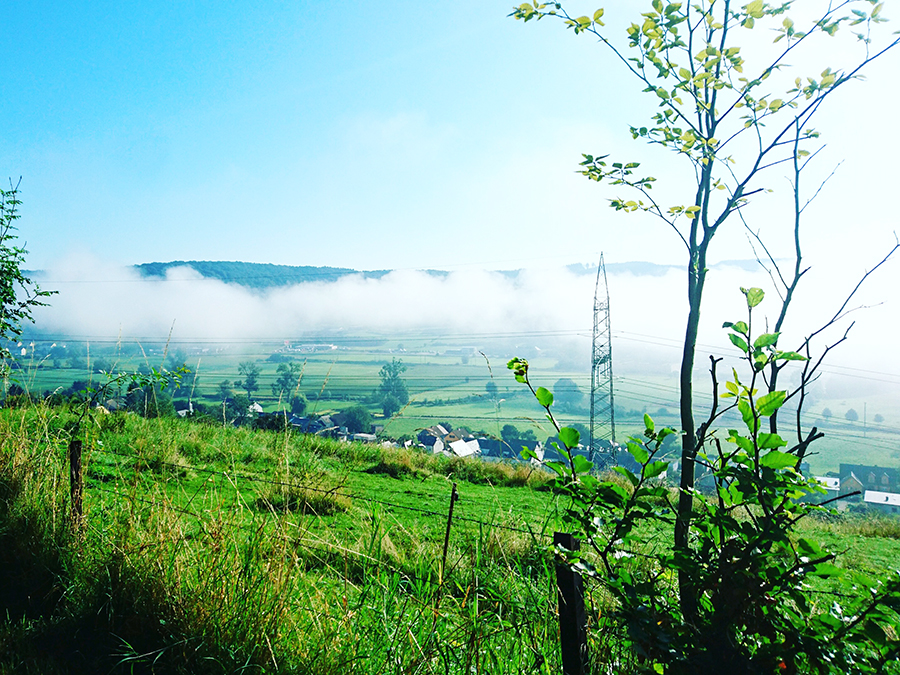 fog